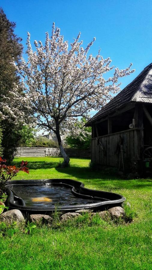 Viesu Nams Klanas Engure Exterior foto